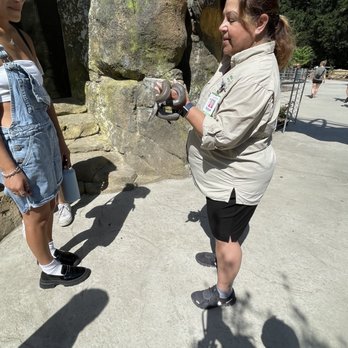 Orange County Zoo - Touch a snake - Zoos Near Me - Orange, California Orange County Zoo - Touch a snake - Zoos Near Me - Orange, California