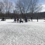 Photo of Flying Cloud Dog Park