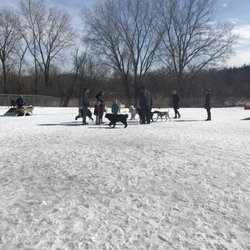 Flying Cloud Dog Park