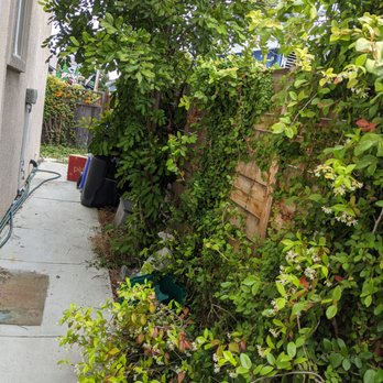 Cintas Landscape Service - a garden with a fence and shrubbery - Landscaping Near Me