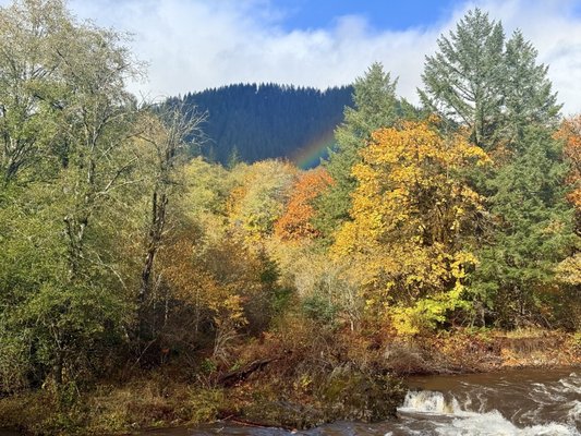 Tillamook Forest Center by null