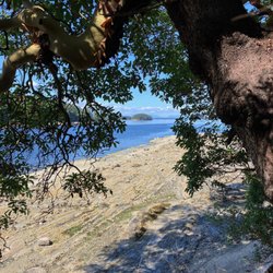 Montague Harbour Marine Provincial Park - View from the Gray Point Trail.