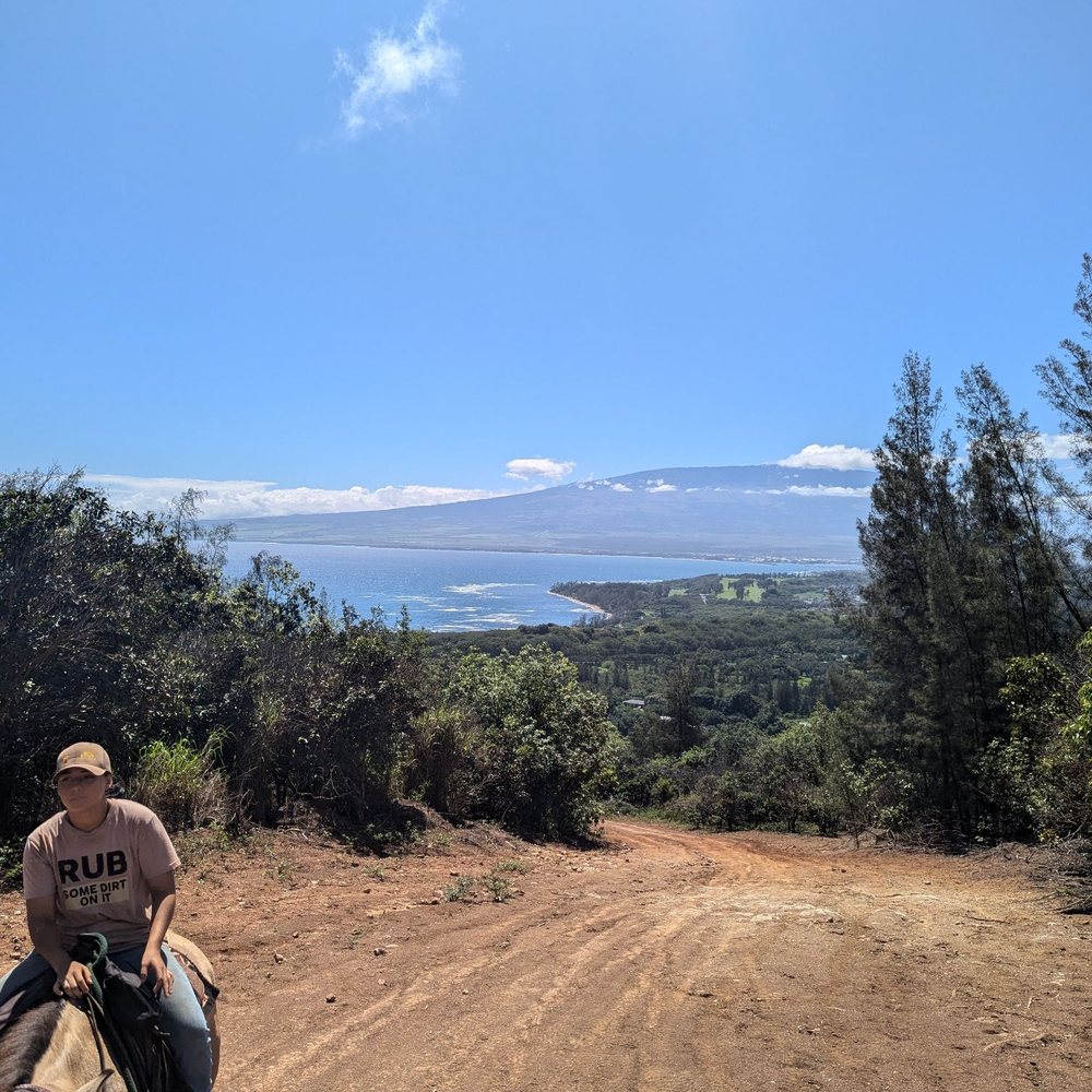 Maui Mountain Activities - Horseback Riding Near Me - Wailuku, Hawaii