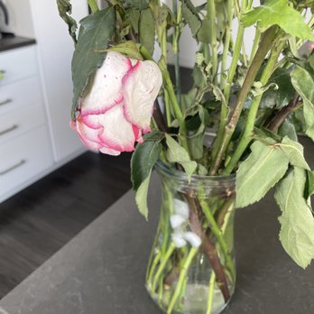 Pike Place Flowers - roses died next day - Florists Near Me - Seattle, Washington