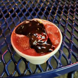 Skeeters Frozen Custard - Small strawberry and hot fudge sundae