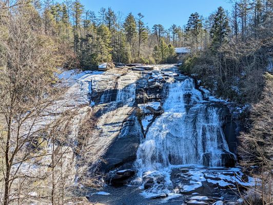 DuPont State Recreational Forest by null