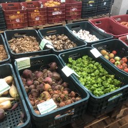 Instituto Feira Livre - Variedades de legumes e verduras orgánicas