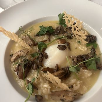 Turner's Cut - Mushroom risotto - Cocktail Bars Near Me - Houston, Texas Turner's Cut - Mushroom risotto - Cocktail Bars Near Me - Houston, Texas