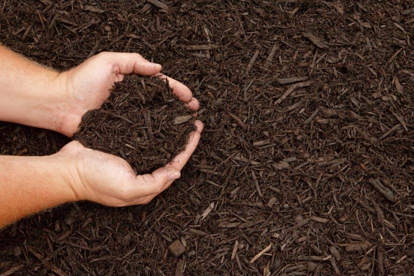 Leonel Landscaping - tree service in Oklahoma City, OK