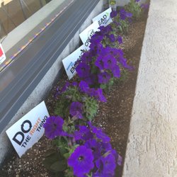 G Adventures - Our Core Values garden.