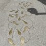Photo of Sidewalk Dance Steps on Broadway