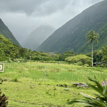 Waipio Valley Shuttle - View looking across the back of the valley. - Tours Near Me - Honokaa, Hawaii