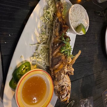 Nine One Five - Whole yellowtail - New American Near Me - Key West, Florida Nine One Five - Whole yellowtail - New American Near Me - Key West, Florida
