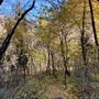 Photo of Indian Trail