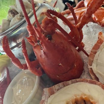 The Capital Grille - Lobster Head - Steakhouses Near Me - Minneapolis, Minnesota