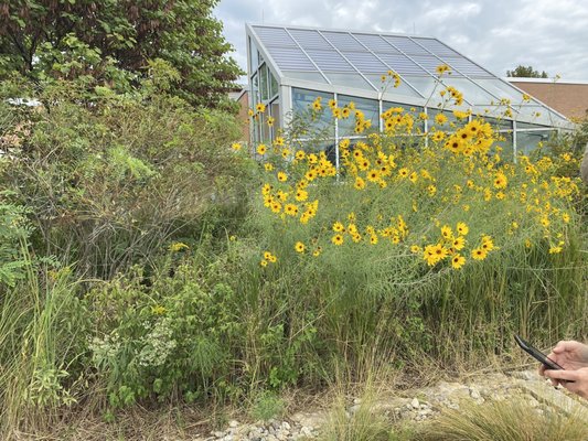 Anita B. Gorman Conservation Discovery Center by null