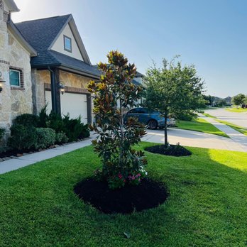 Elite Tree Specialist - Landscaping Near Me Elite Tree Specialist - Landscaping Near Me
