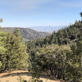 Ziplines at Pacific Crest - Ziplining Near Me - Wrightwood, California Ziplines at Pacific Crest - Ziplining Near Me - Wrightwood, California