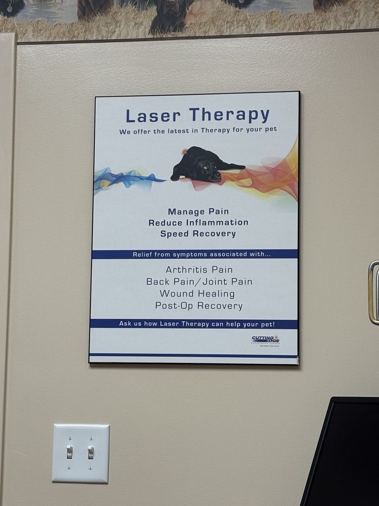 Quail Pointe Veterinary Hospital - pet boarding facility in Clearfield, UT