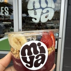 Miya Bowls