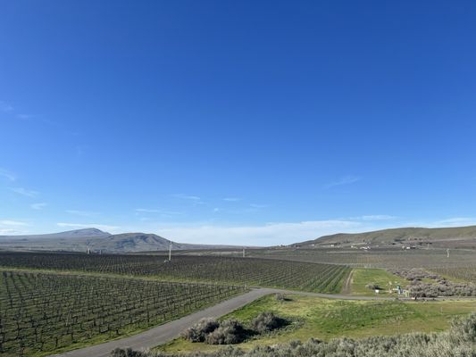 Kiona Vineyards and Winery by null