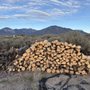 Gonzales Firewood  And Latillas