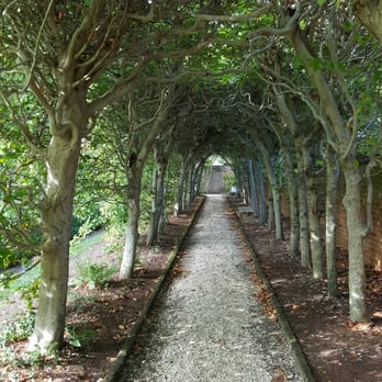 Colonial Williamsburg - Tours Near Me - Williamsburg, Virginia