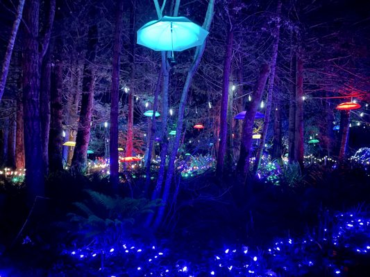 Milner Gardens & Woodland - Vancouver Island University by null