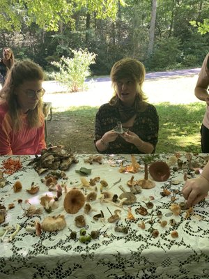 NO TASTE LIKE HOME - 66 Photos & 44 Reviews - Asheville, North Carolina