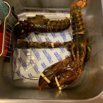 Maine Lobster Now - two lobsters in a sink - Seafood Markets Near Me - Saco, Maine Maine Lobster Now - two lobsters in a sink - Seafood Markets Near Me - Saco, Maine