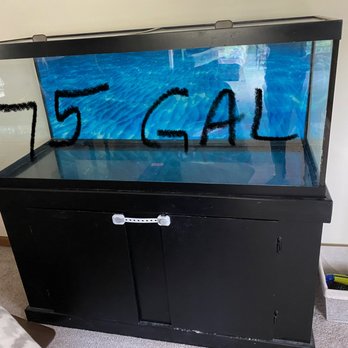 best bulb for tortoise