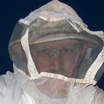 Pesty Pest Control - Pest Control Near Me - Kingman, Arizona Pesty Pest Control - Pest Control Near Me - Kingman, Arizona