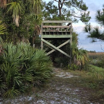 Savannas Park and Campground - Observation deck #1 - Campgrounds Near Me - Fort Pierce, Florida Savannas Park and Campground - Observation deck #1 - Campgrounds Near Me - Fort Pierce, Florida