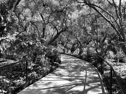 Gardens of the World by null