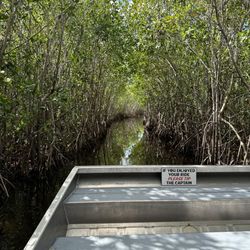 Corey Billie's Airboat Rides - Tree tunnel on the ride.