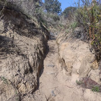 Torrey Pines Extension - Part of the Mar Scenic trail - Hiking Near Me - Del Mar, California