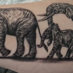 Elephant family on my forearm. Photo is a little distorted because of the angle, looks way better in real life! Elephant family on my forearm. Photo is a little distorted because of the angle, looks way better in real life!