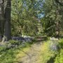 Photo of Roanoke Park