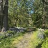 Roanoke Park gift card