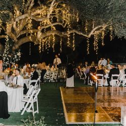 San Diego SociaLights - Dripping Tree Lights