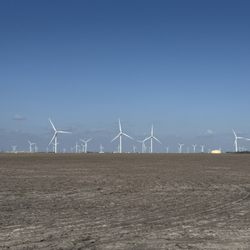 Cotton Love RV Park - Cotton fields and wind turbines