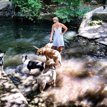 Strutt Your Mutt - Dog Walkers Near Me - San Rafael, California Strutt Your Mutt - Dog Walkers Near Me - San Rafael, California