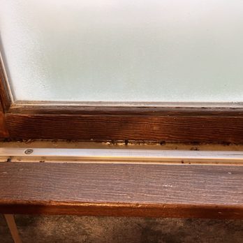 Dreamliner Motel - Flies in the windowsill. - Hotels Near Me - Mankato, Kansas