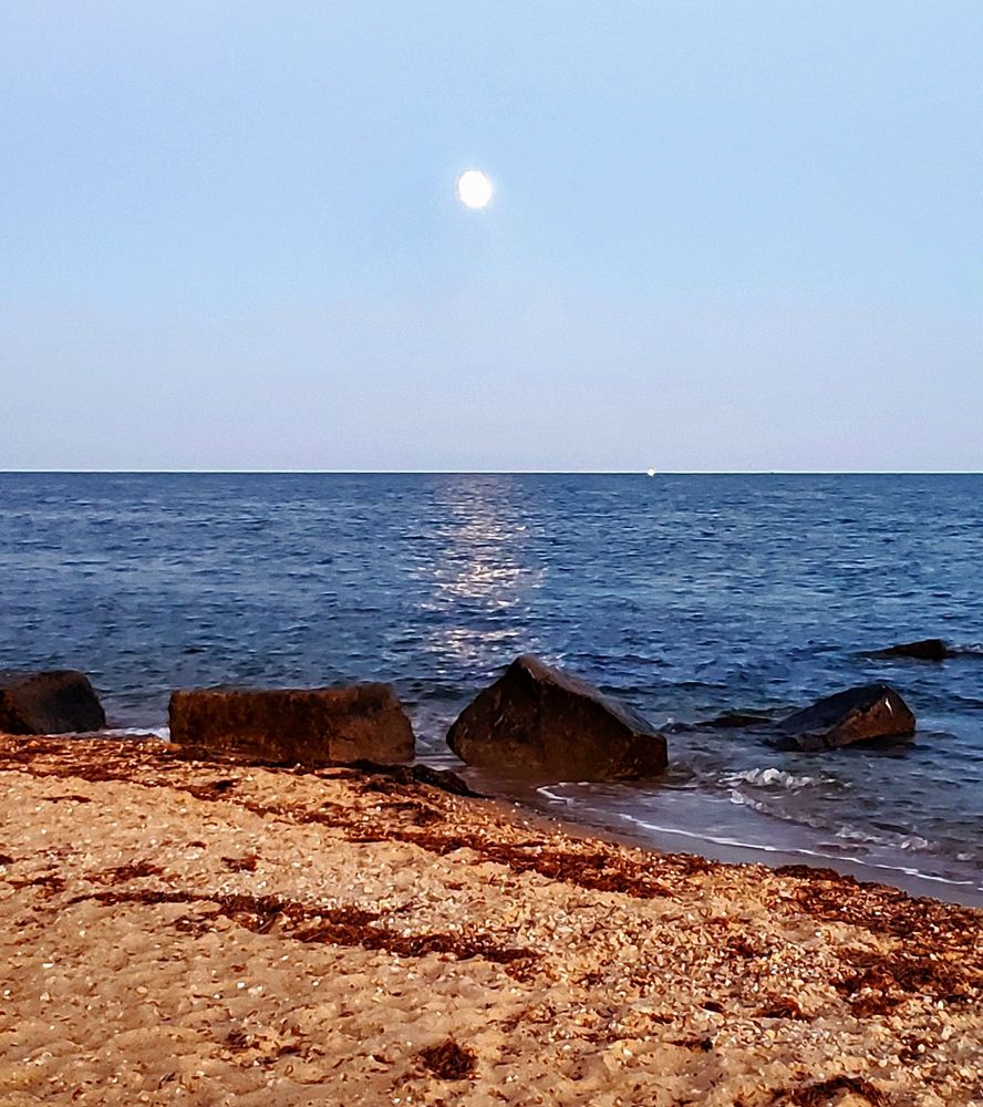 Falmouth Heights Beach Logo