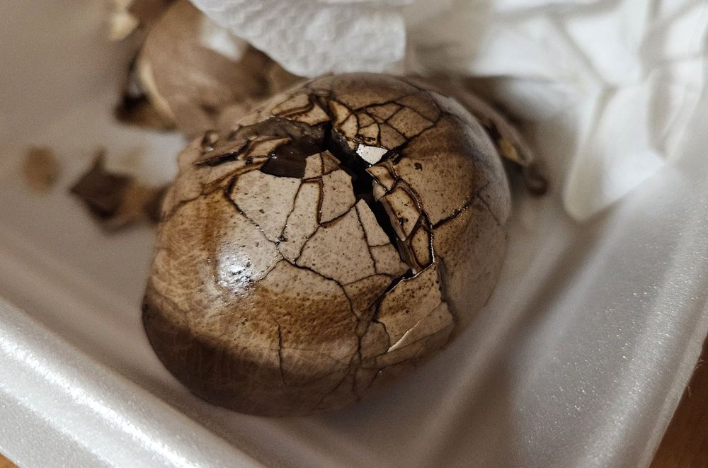 Food from China Pasta House