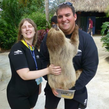 Discovery Cove - Amusement Parks Near Me - Orlando, Florida Discovery Cove - Amusement Parks Near Me - Orlando, Florida