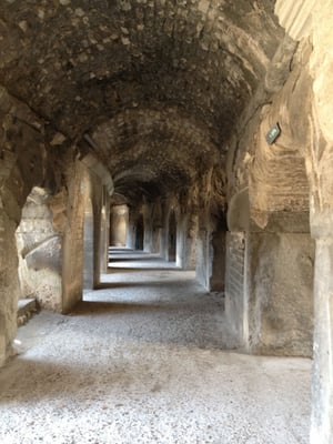 Roman Theatre of Arles by null