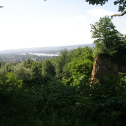 Siebengebirge - Aussicht vom Rheinsteig Richtung Königswinter
