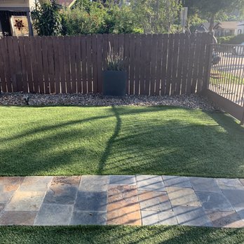 One Day Tree service - After - Tree Services Near Me - Los Angeles, California One Day Tree service - After - Tree Services Near Me - Los Angeles, California
