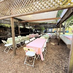 J & J Party Supply and Rentals